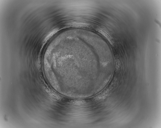 X0000095111074200712211316