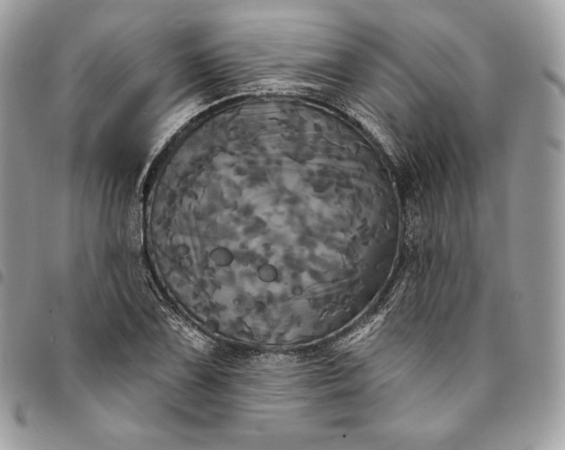 X0000095111075200712211316