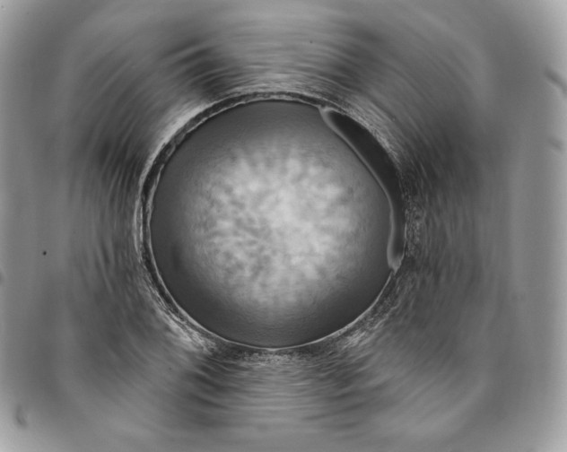 X0000095111076200712211315