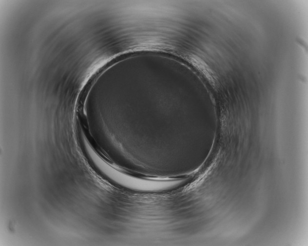 X0000095111077200712211315