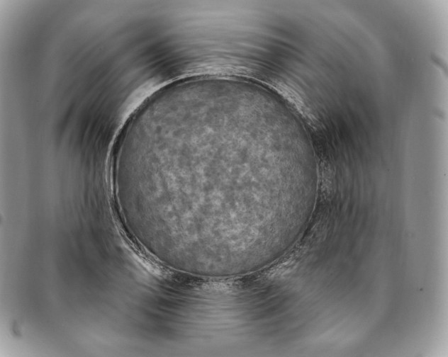 X0000095111078200712211315