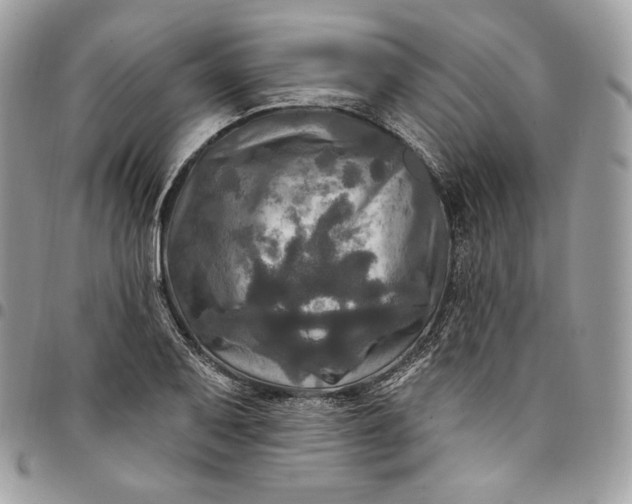 X0000095111079200712211315