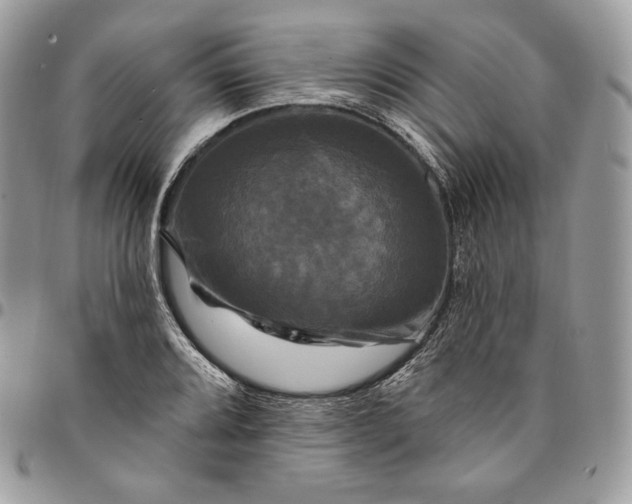 X0000095111080200712211315