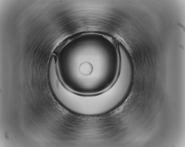 X0000095111081200712211315