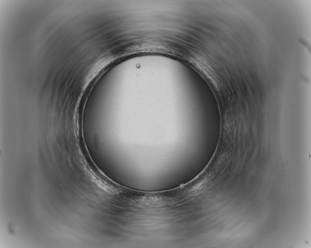 X0000095111082200712211315