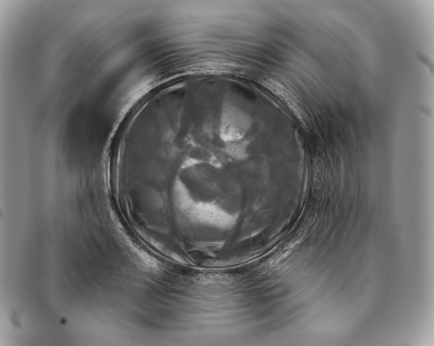 X0000095111083200712211315