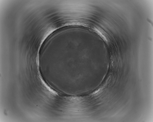 X0000095111084200712211315