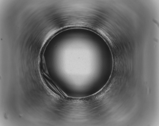 X0000095111085200712211315