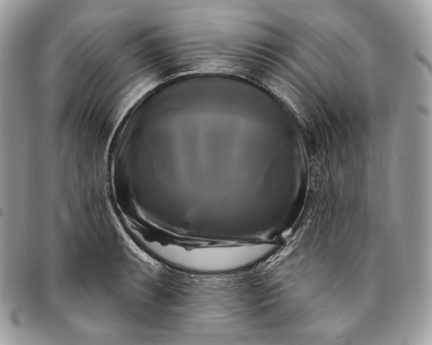 X0000095111087200712211315