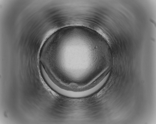 X0000095111088200712211315