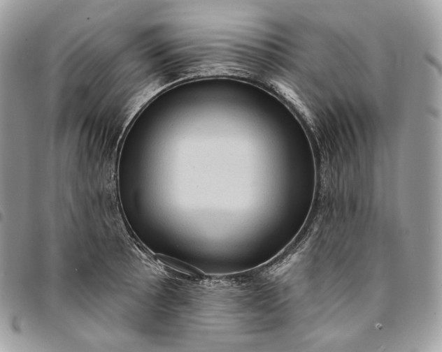 X0000095111089200712211315