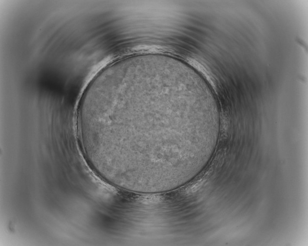 X0000095111090200712211315