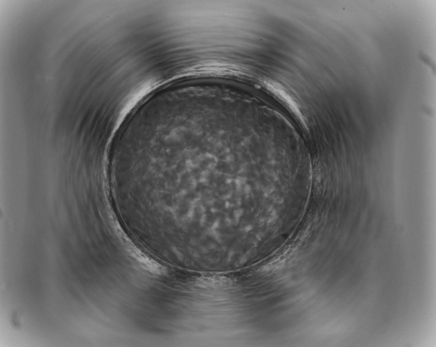 X0000095111091200712211315