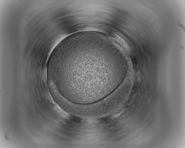 X0000095111092200712211315