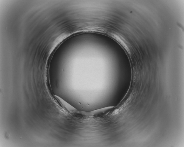 X0000095111093200712211315