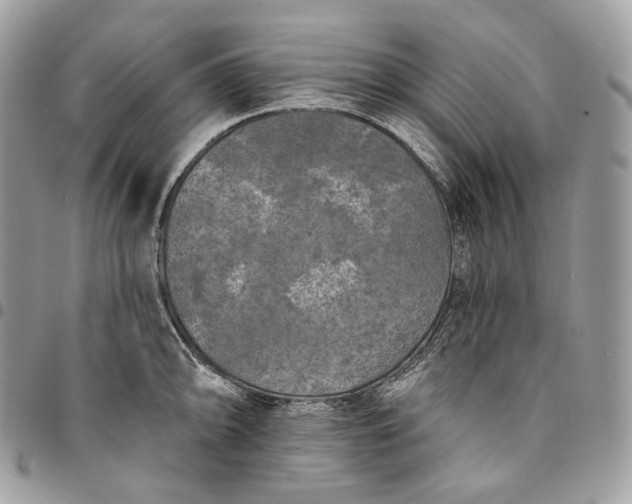 X0000095111094200712211315