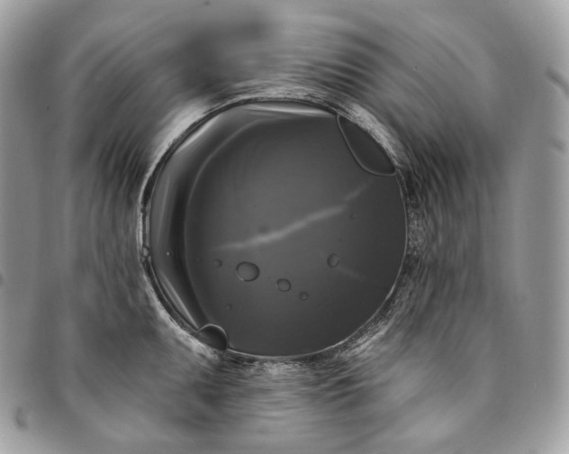 X0000095111095200712211315