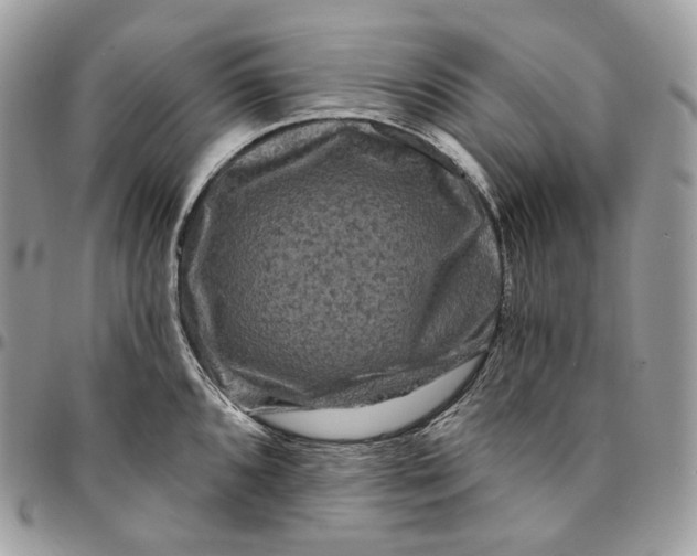 X0000095111096200712211315