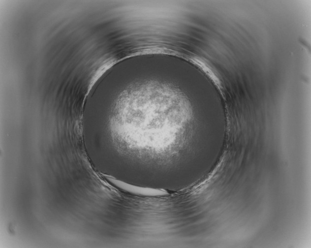 X0000095111097200712211315