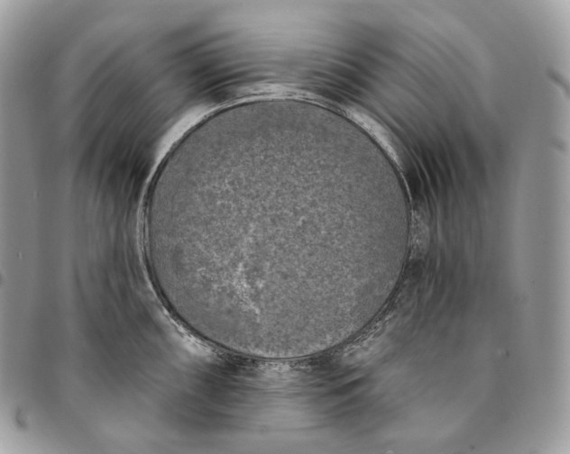 X0000095111098200712211315