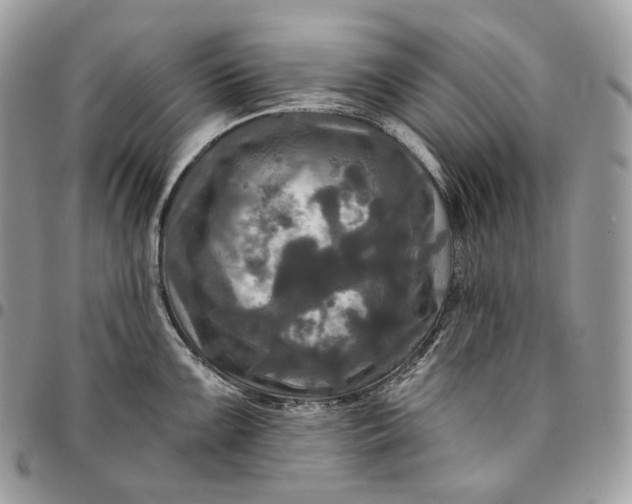 X0000095111099200712211315