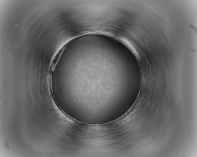 X0000095111100200712211315