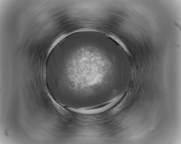 X0000095111101200712211315