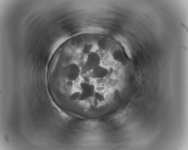 X0000095111103200712211315