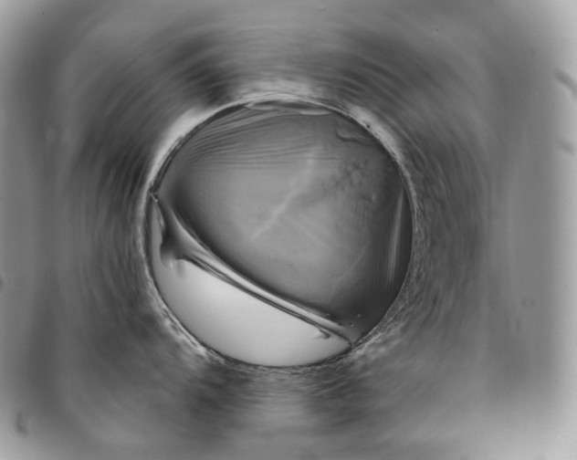 X0000095111104200712211315