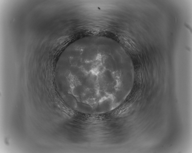 X0000095111105200712211314