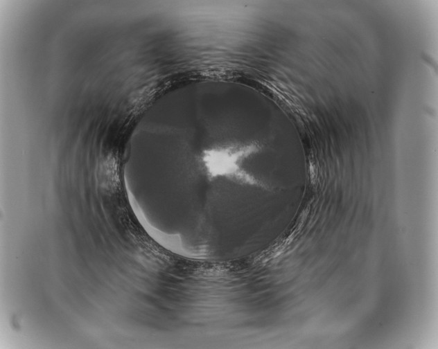 X0000095111106200712211314