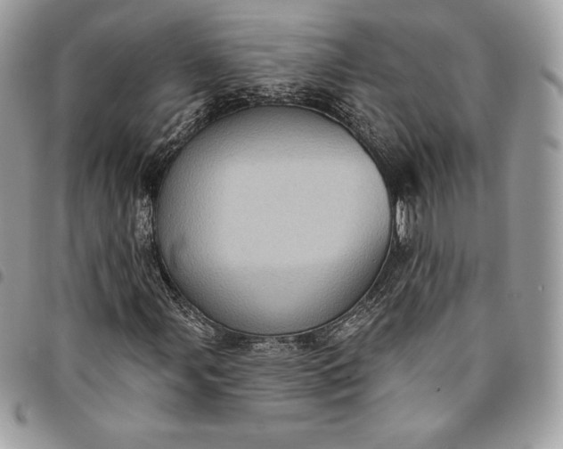 X0000095111107200712211314