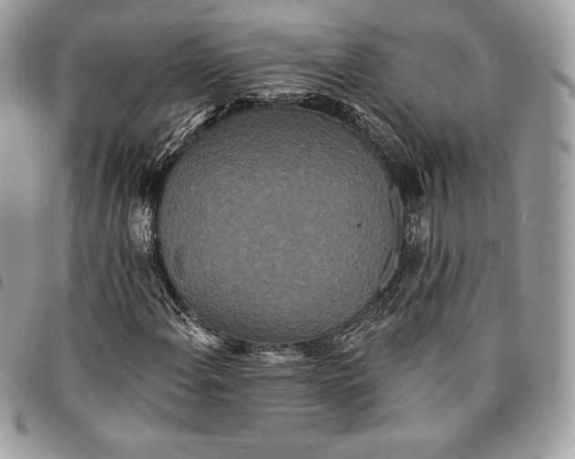 X0000095111108200712211314