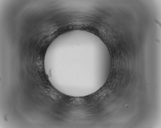 X0000095111109200712211314