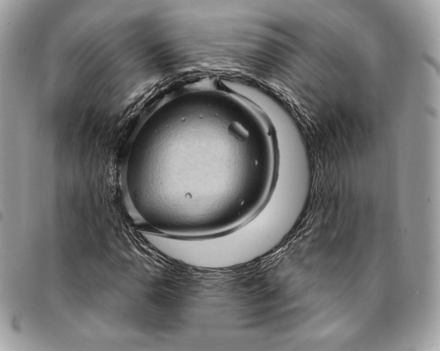 X0000095111110200712211314