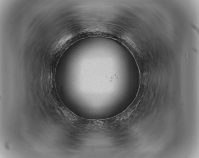 X0000095111111200712211314