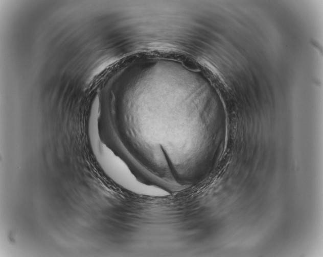 X0000095111112200712211314