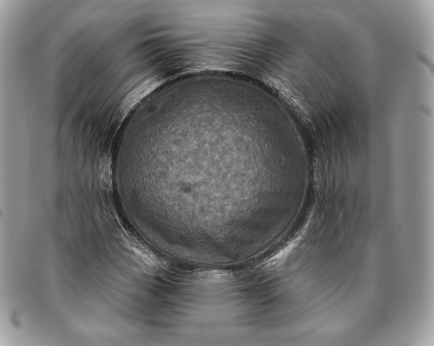 X0000095111113200712211314