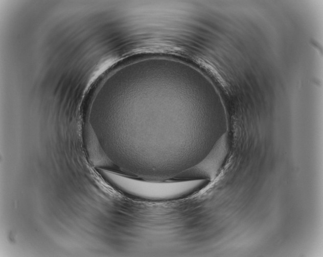 X0000095111114200712211314