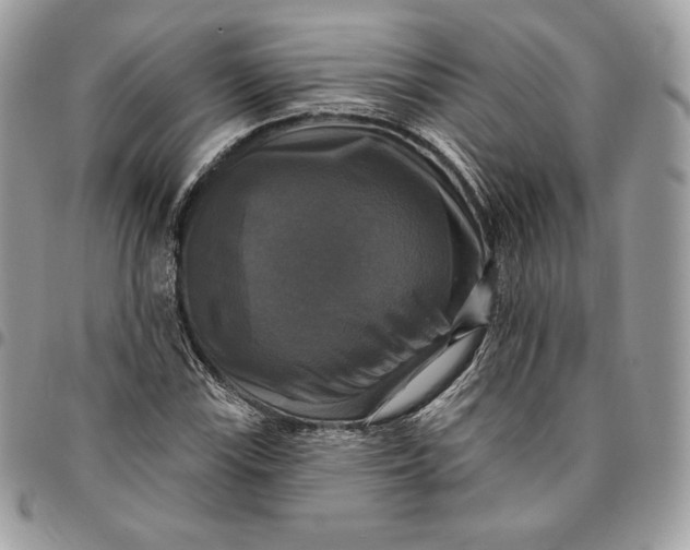 X0000095111115200712211314