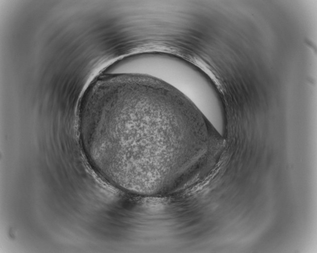 X0000095111116200712211314