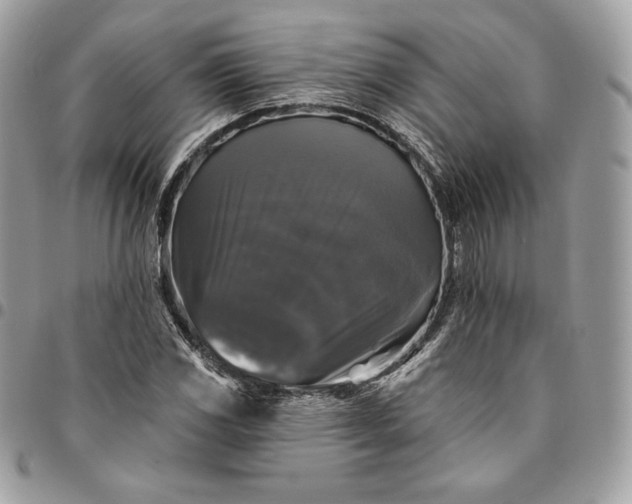 X0000095111117200712211314