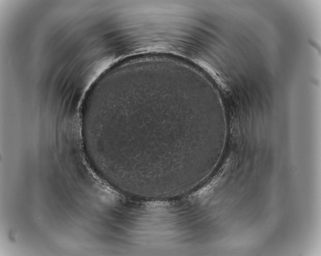 X0000095111118200712211314