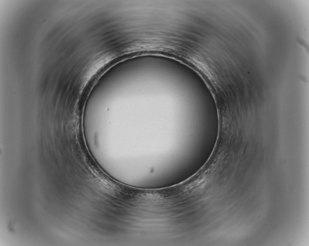 X0000095111119200712211314