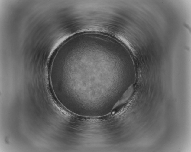 X0000095111120200712211314