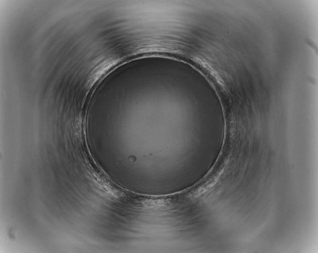 X0000095111121200712211314