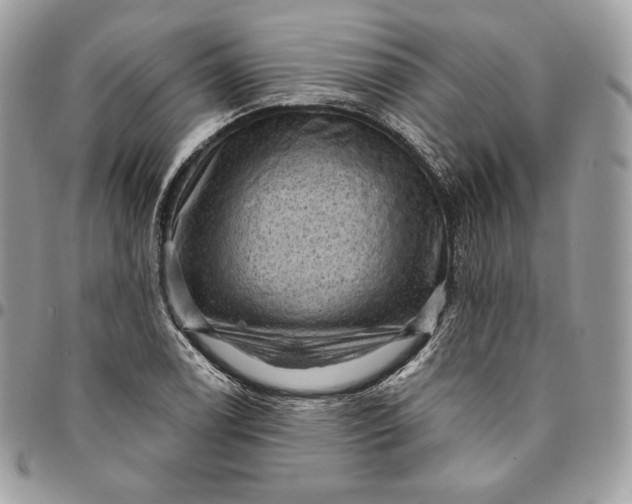 X0000095111122200712211315