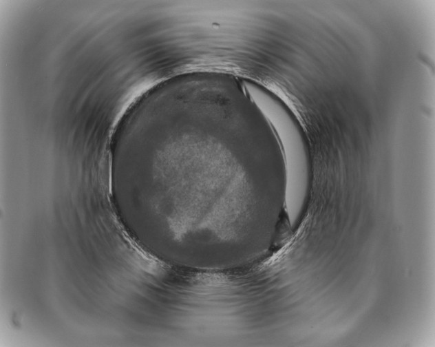 X0000095111123200712211315