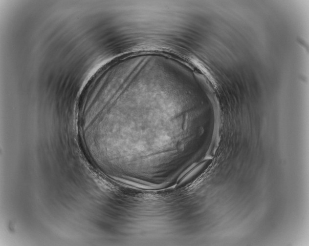 X0000095111124200712211315