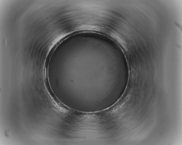 X0000095111125200712211315